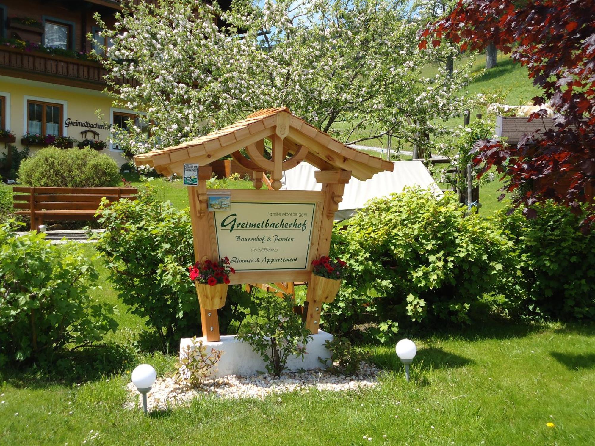 Pension-Greimelbacherhof Ramsau am Dachstein Exterior photo