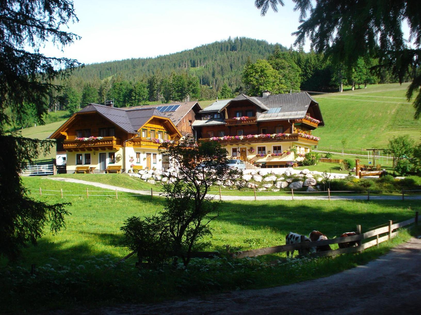 Pension-Greimelbacherhof Ramsau am Dachstein Exterior photo
