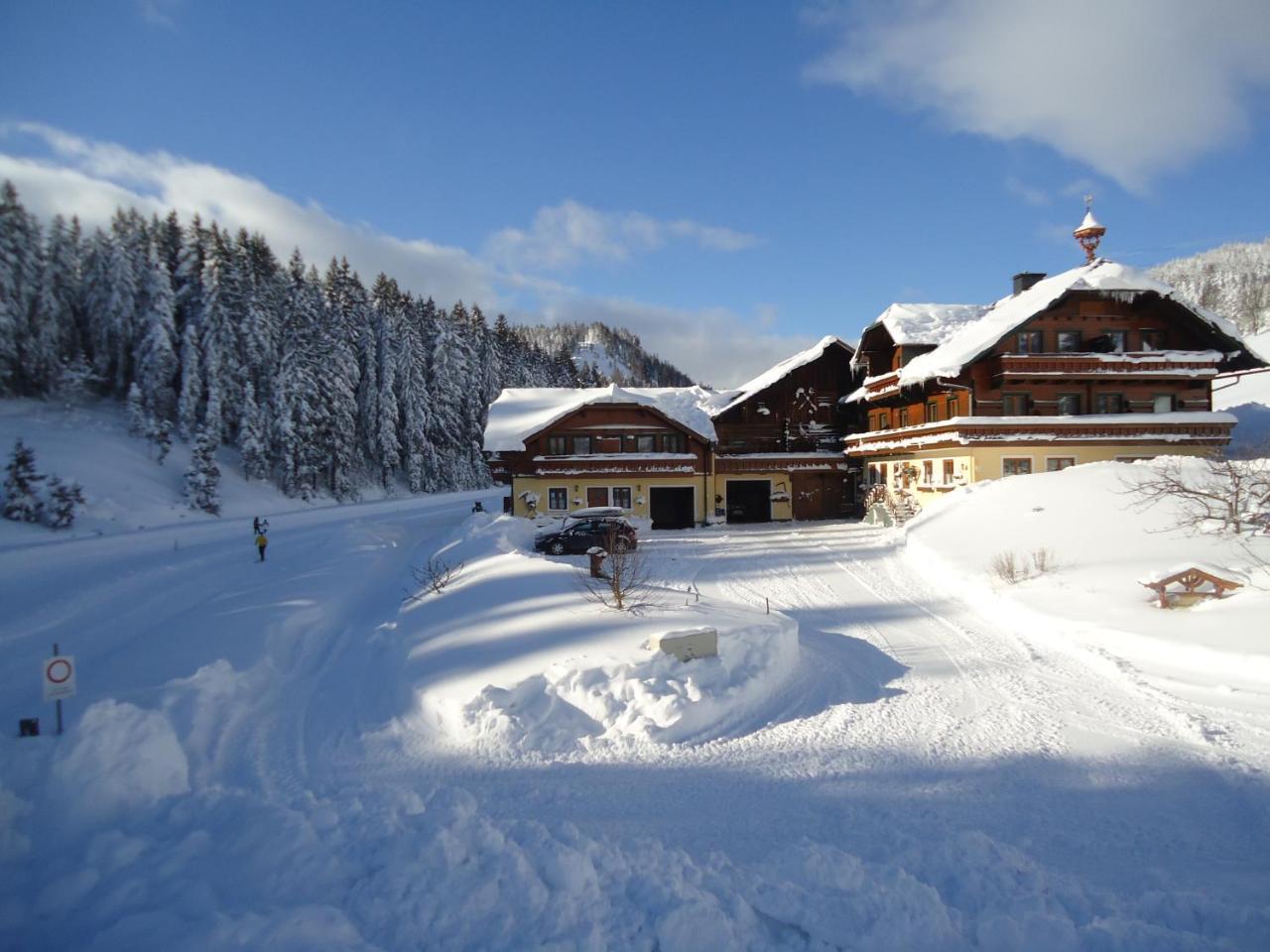 Pension-Greimelbacherhof Ramsau am Dachstein Exterior photo